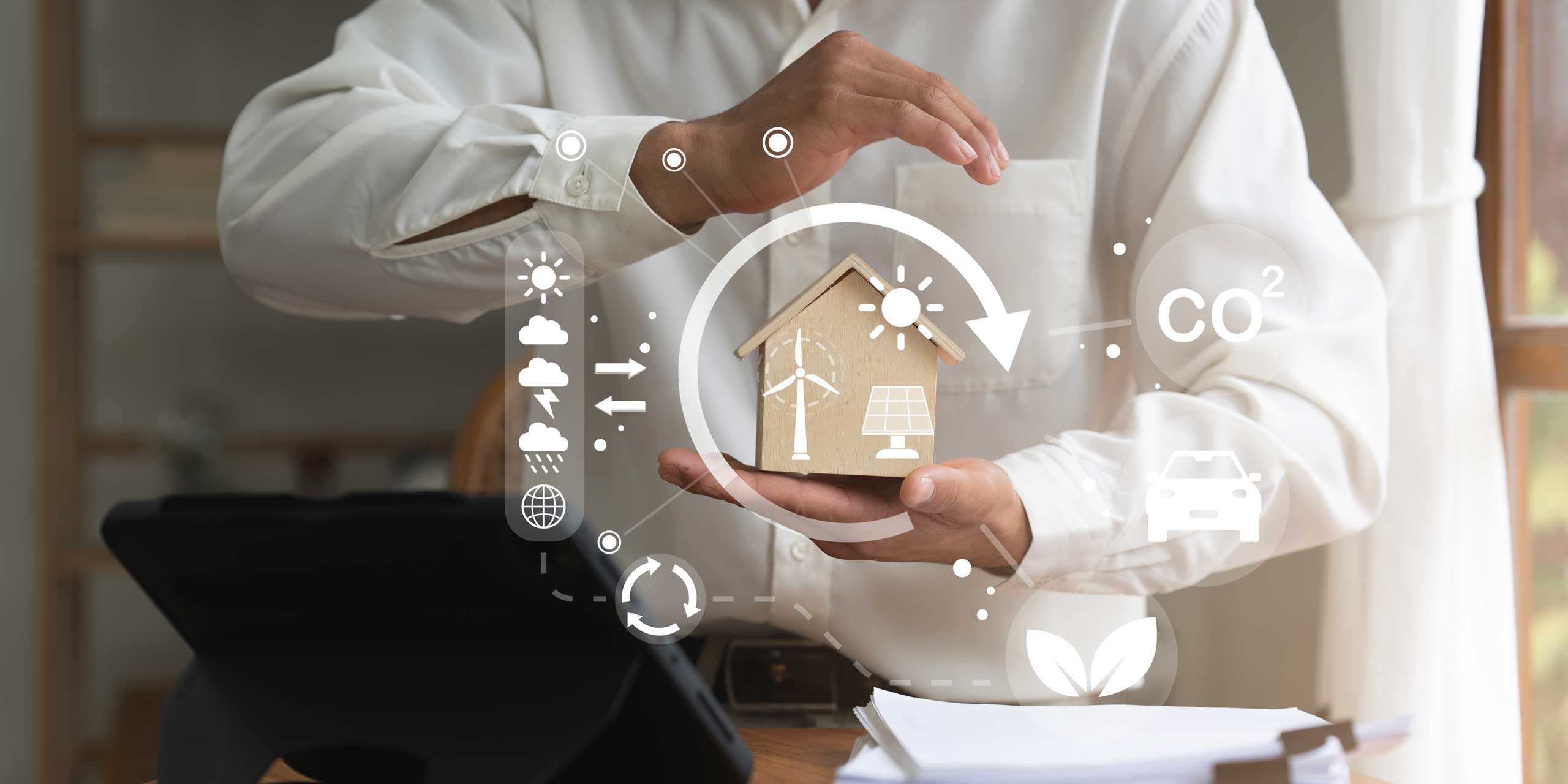 Ecosystem Innovation and Digital Economy